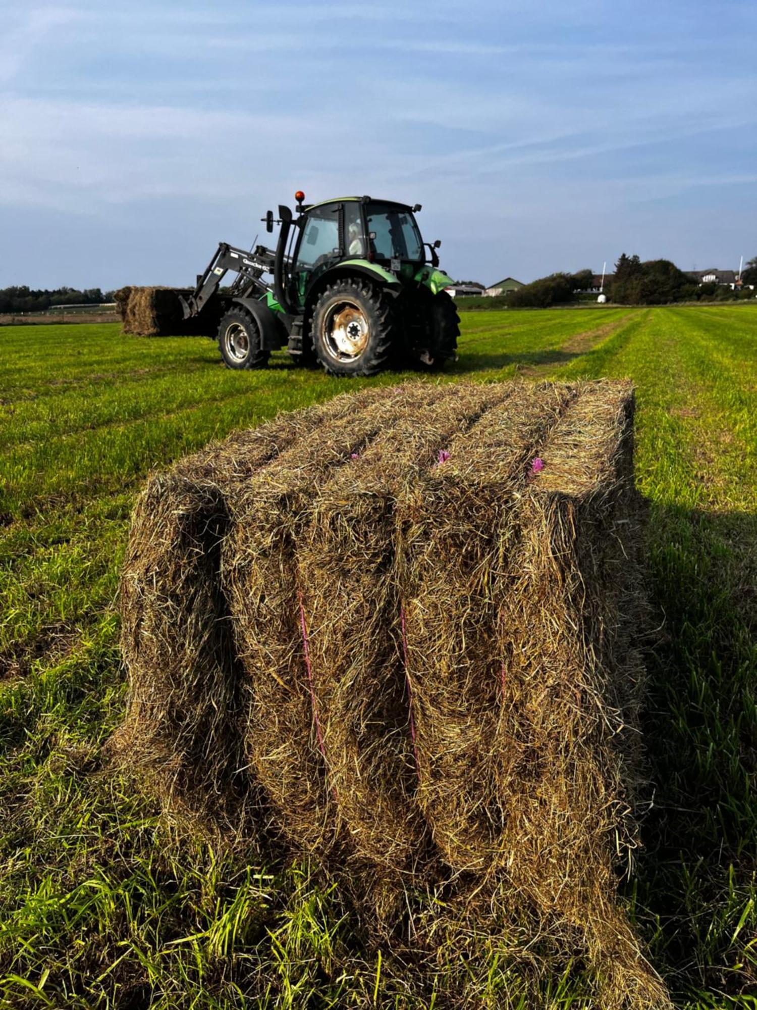 Lokken Farm Holiday Bagian luar foto