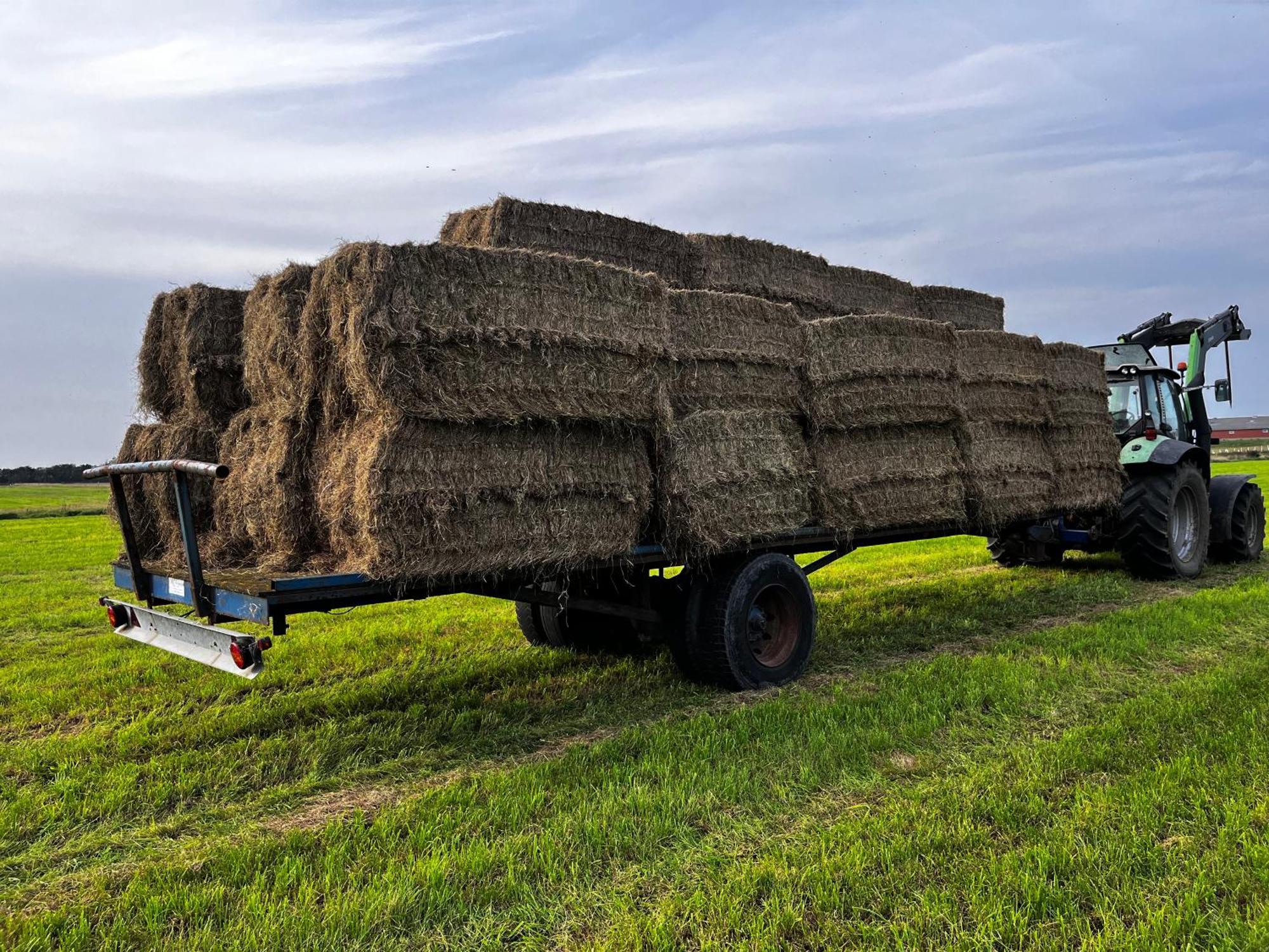 Lokken Farm Holiday Bagian luar foto