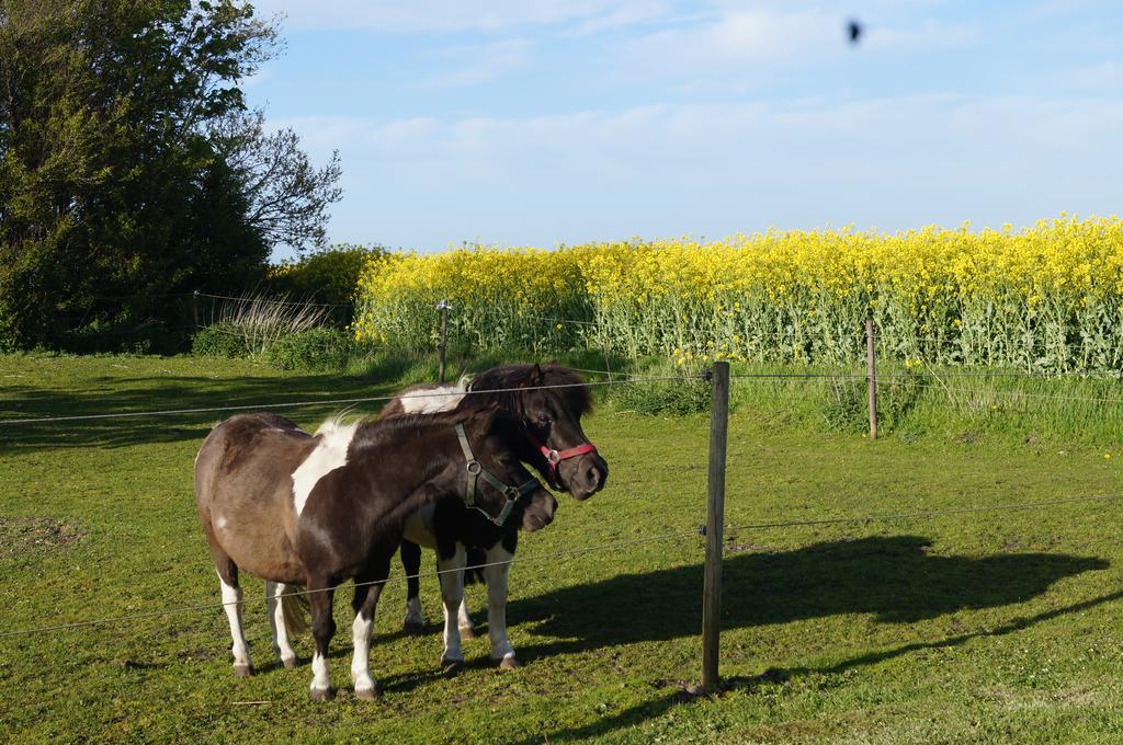 Lokken Farm Holiday Ruang foto