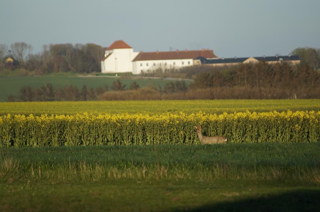 Lokken Farm Holiday Ruang foto