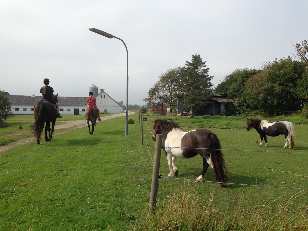 Lokken Farm Holiday Bagian luar foto